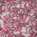 Coral Reef Stretch Mesh Sequin Fabric | Blue Moon Fabrics