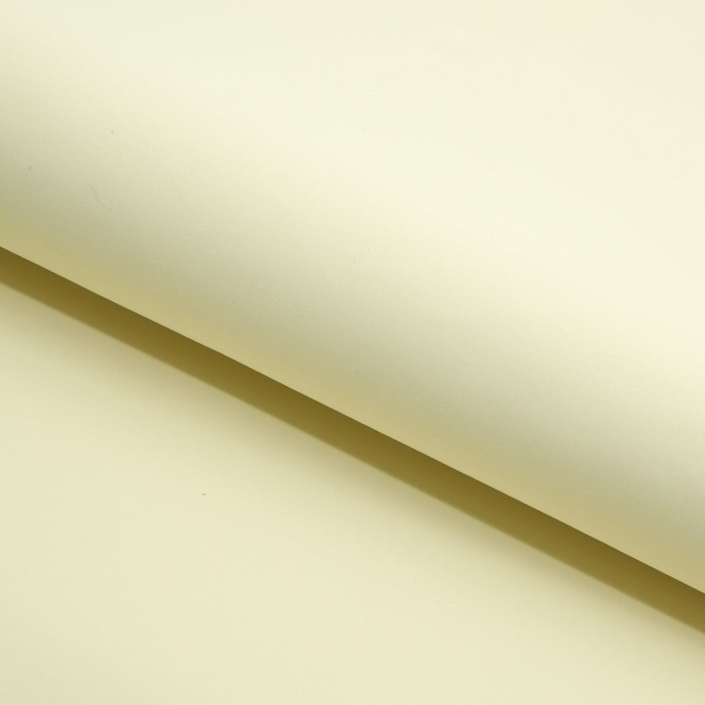Delite Lightweight Nylon Spandex Fabric | Blue Moon Fabrics